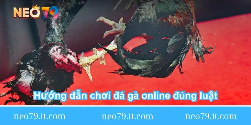 huong dan choi da ga online dung luat huong-dan-choi-da-ga-online-dung-luat