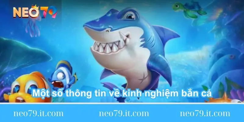 mot so thong tin ve kinh nghiem ban ca mot-so-thong-tin-ve-kinh-nghiem-ban-ca